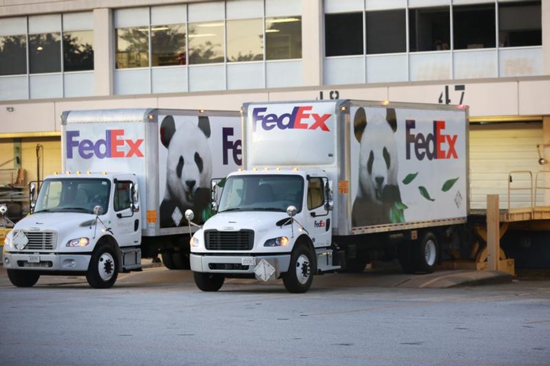 Dos pandas gigantes chinos llegan a la ciudad estadounidense de Atlanta