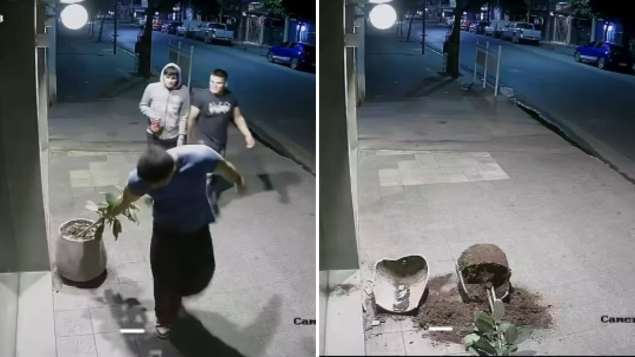 Tucumán: rompieron una maceta de un local, los escracharon por redes y repararon los destrozos