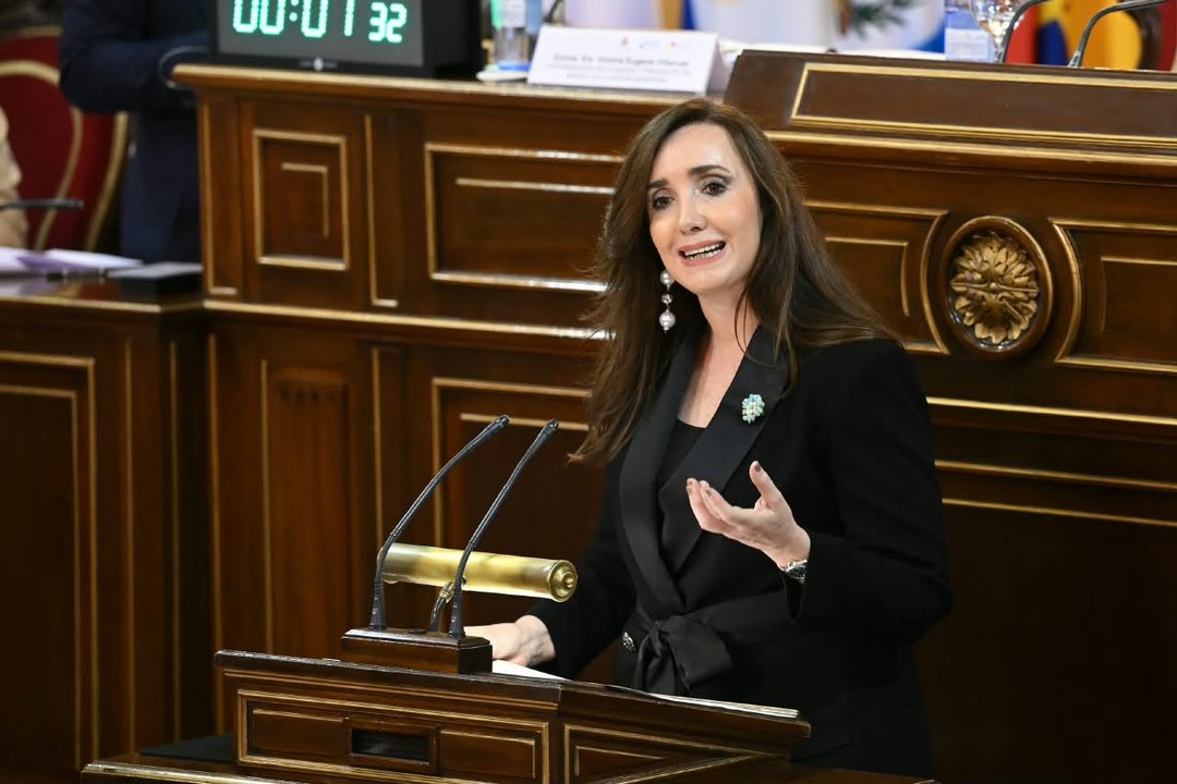 Victoria Villarruel en el Foro Parlamentario Iberoamericano en Madrid