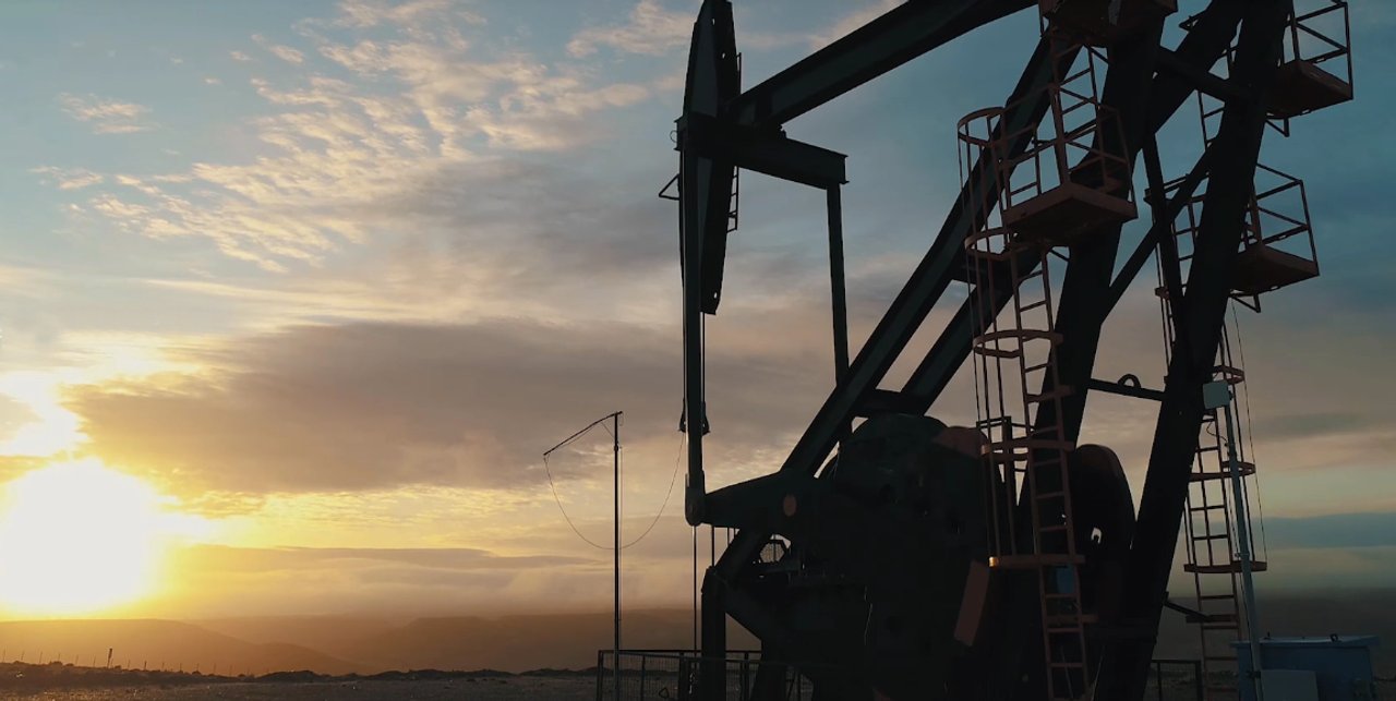 Marcos Bulgheroni consultó a la IEA por el futuro de la demanda de petróleo