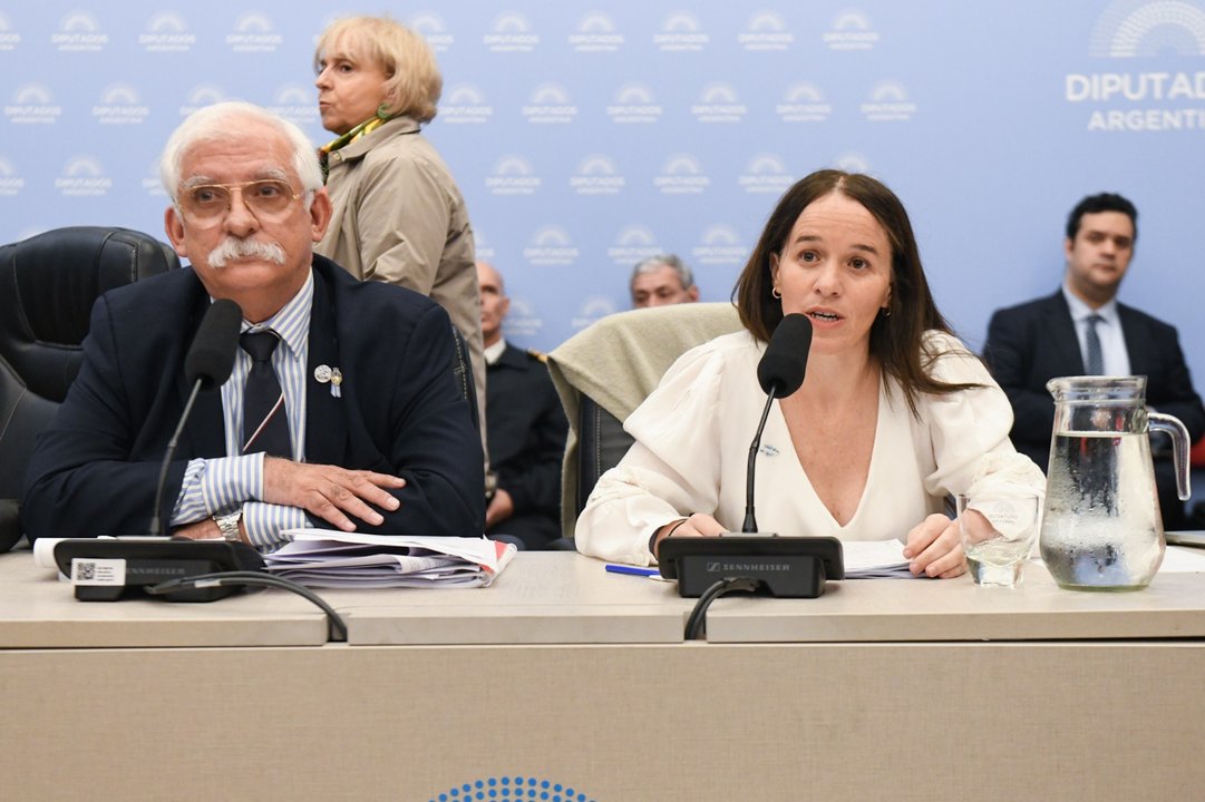 Ibarzabal Murphy rechazó que con la nueva ley haya una amnistía para las empresas que operan en Malvinas