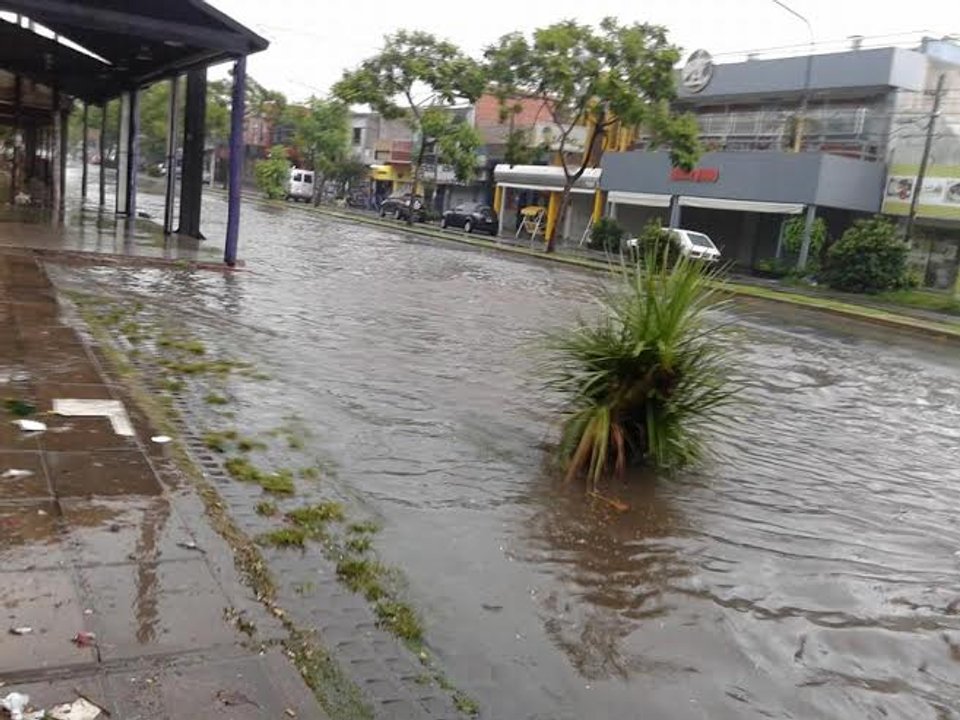 Hurlingham: cuestionan a Selci por el avance del cemento en zonas inundables