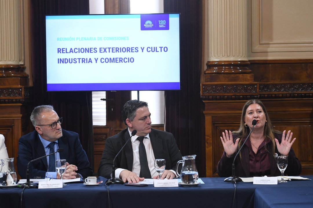 Sesión del Senado durante el debate sobre el Tratado de Patentes