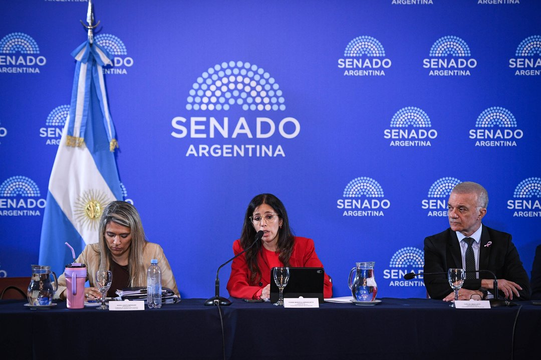 Senado: se avanza con la reforma de la Ley de Salud Mental: habilitan internaciones involuntarias y suman adicciones