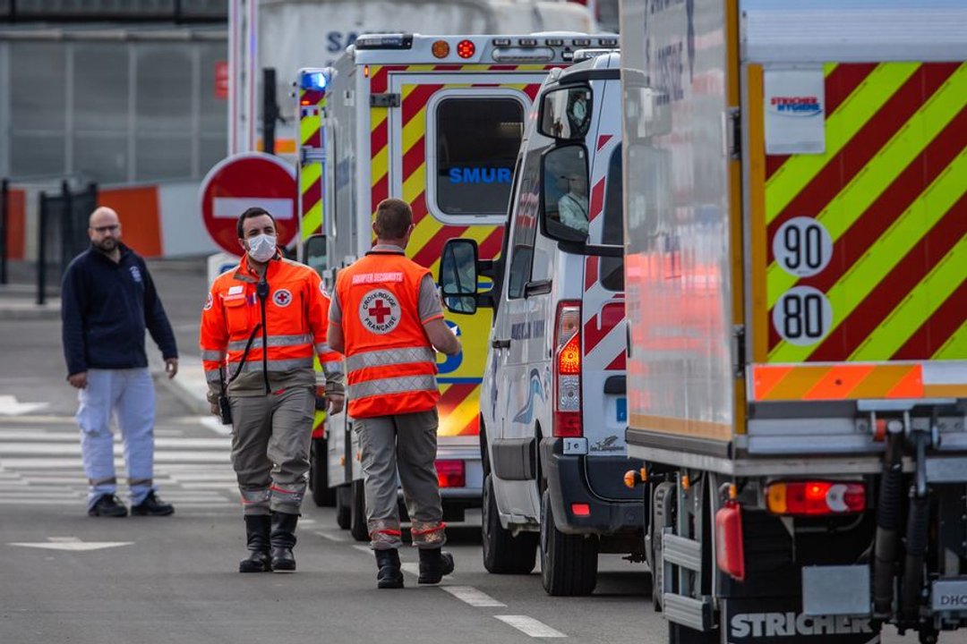 Virus Shamonda: muere en Francia la primera persona infectada en el mundo