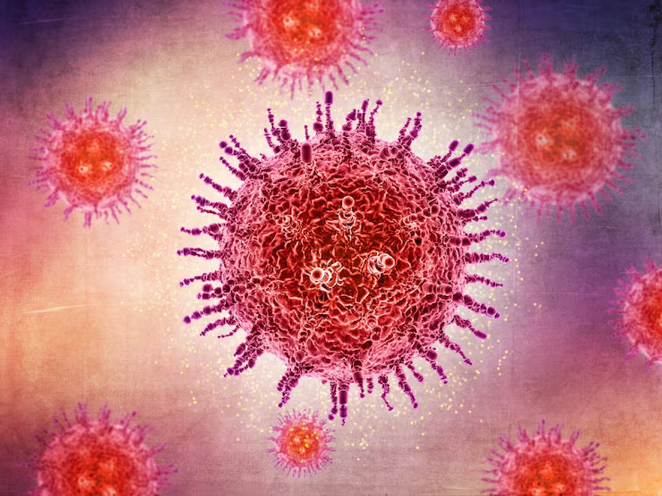 ¿Qué es el virus Shamonda?