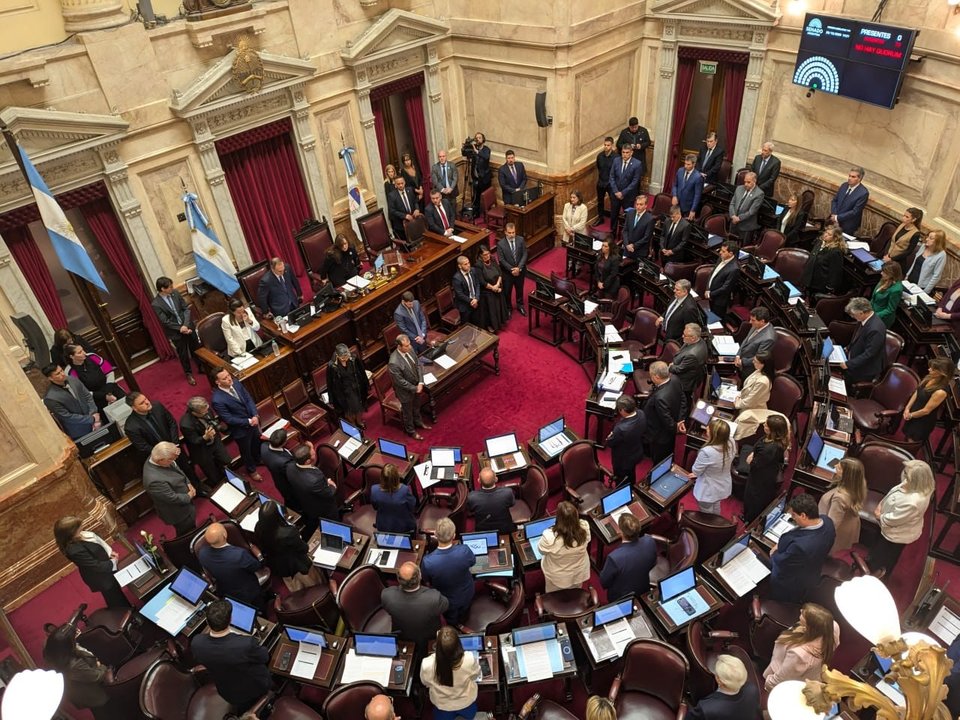 El Senado debate la reforma de la Ley de Salud Mental que habilita las internaciones involuntarias