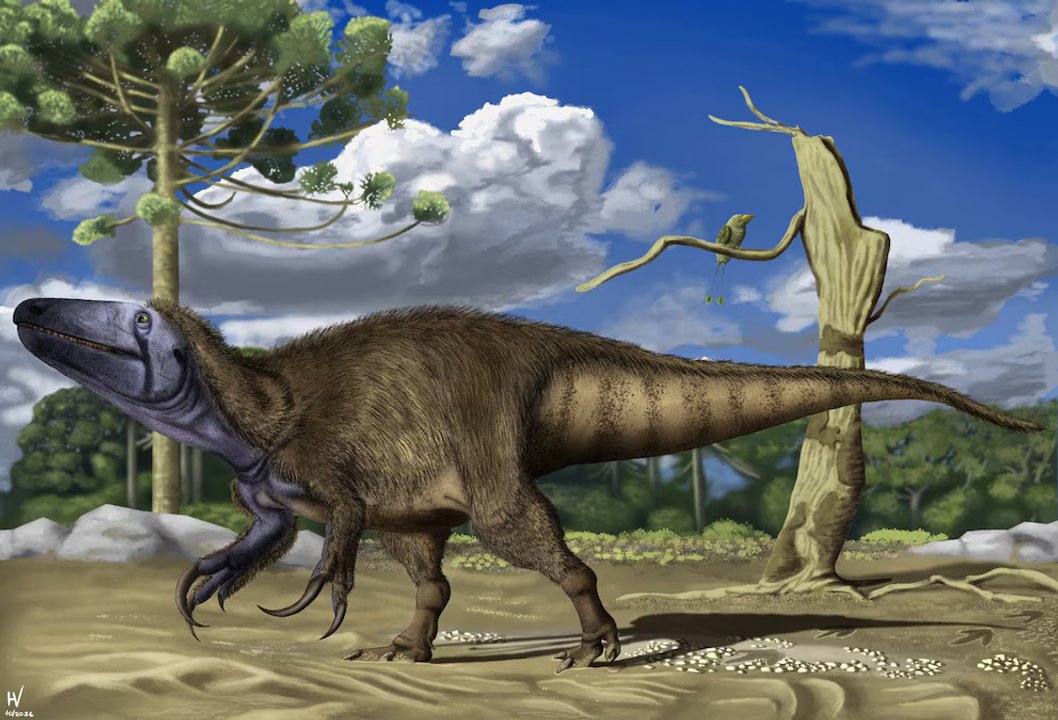 Impresionante: descubren en Neuquén una nueva especie de dinosaurio carnívoro que medía siete metros
