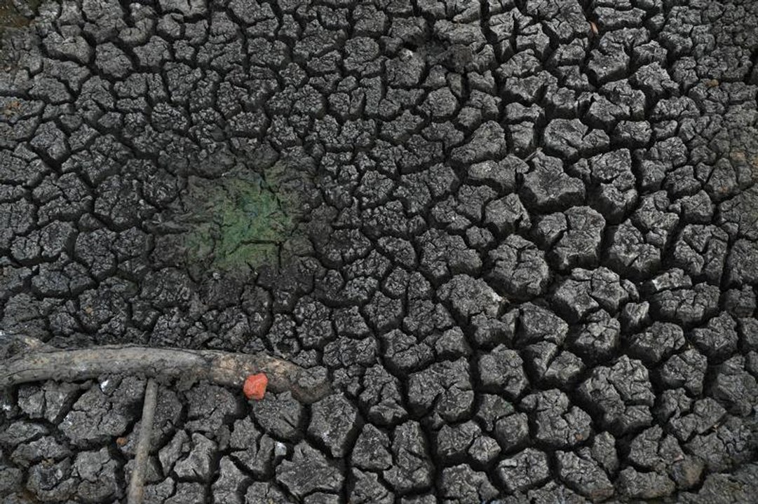 El Niño golpea con sequía a seis departamentos de Bolivia